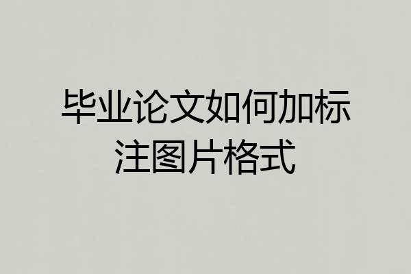 毕业论文如何加标注图片格式