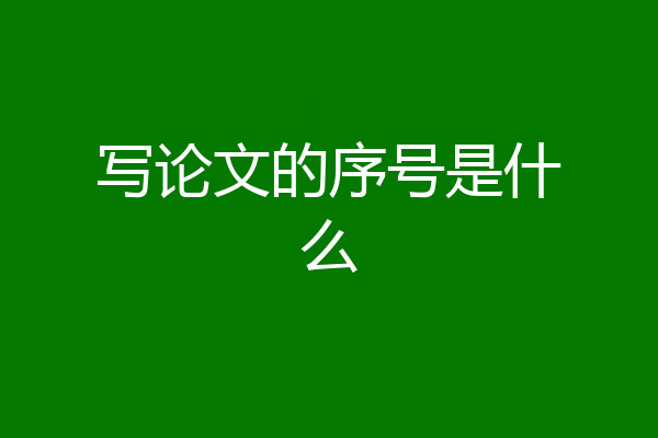 写论文的序号是什么