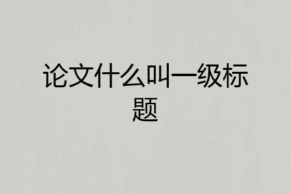 论文什么叫一级标题