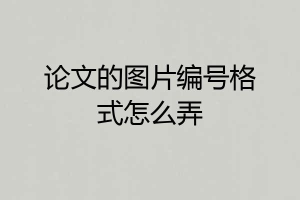 论文的图片编号格式怎么弄