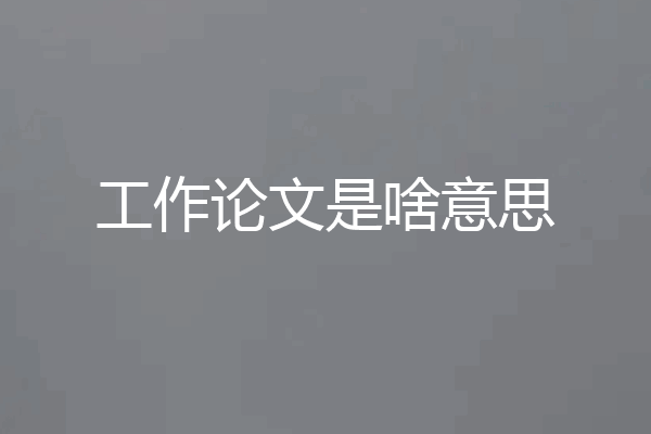 工作论文是啥意思