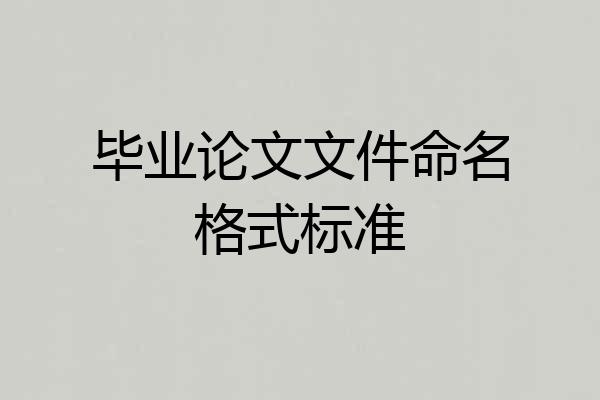 毕业论文文件命名格式标准