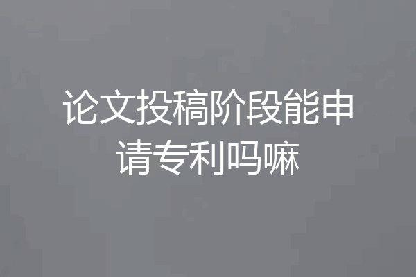 论文投稿阶段能申请专利吗嘛