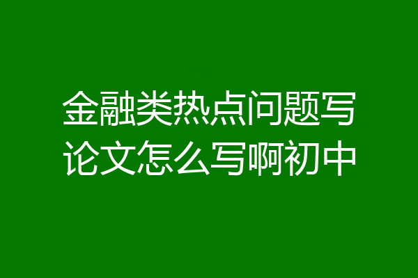 金融类热点问题写论文怎么写啊初中