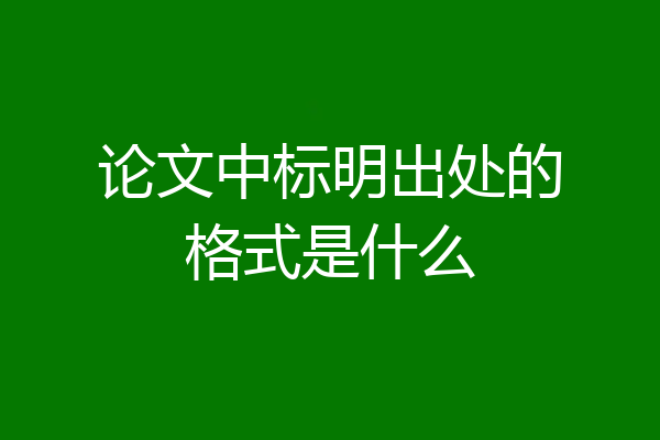 论文中标明出处的格式是什么
