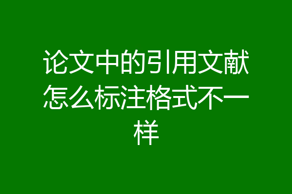 论文中的引用文献怎么标注格式不一样