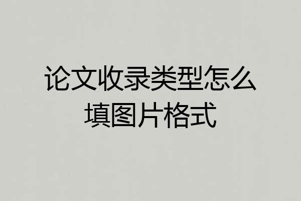 论文收录类型怎么填图片格式