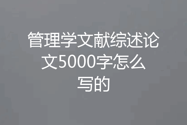 管理学文献综述论文5000字怎么写的