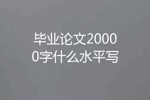 毕业论文20000字什么水平写