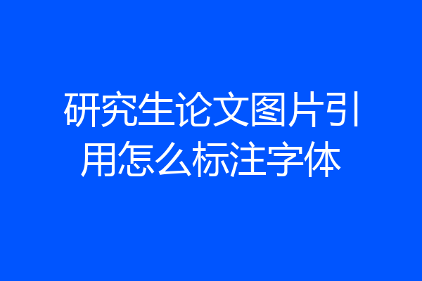 研究生论文图片引用怎么标注字体