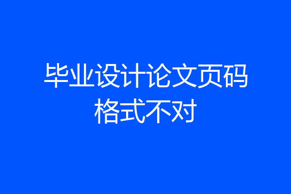 毕业设计论文页码格式不对