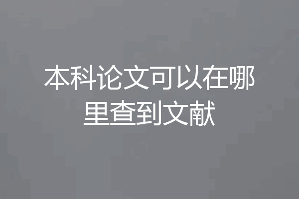 本科论文可以在哪里查到文献