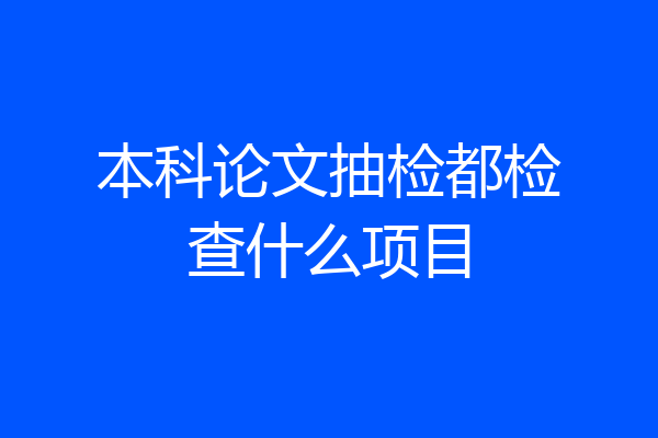 本科论文抽检都检查什么项目