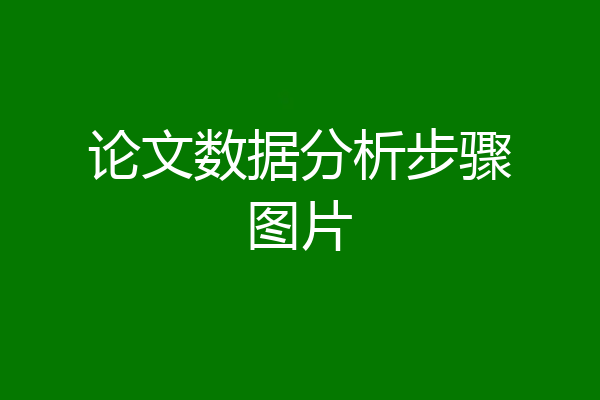 论文数据分析步骤图片