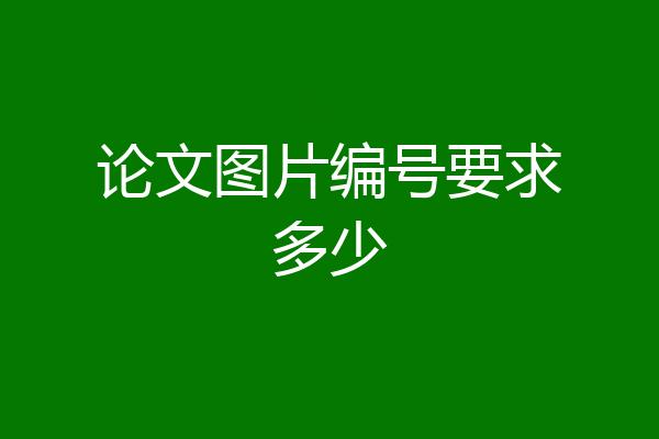 论文图片编号要求多少
