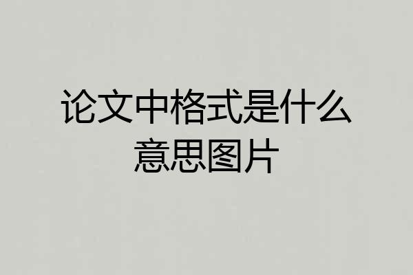 论文中格式是什么意思图片