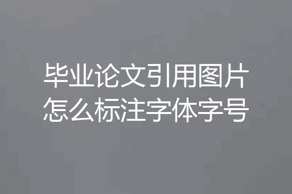 毕业论文引用图片怎么标注字体字号