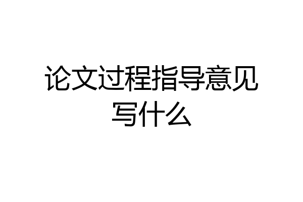 论文过程指导意见写什么