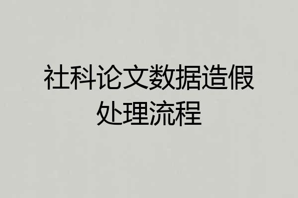 社科论文数据造假处理流程