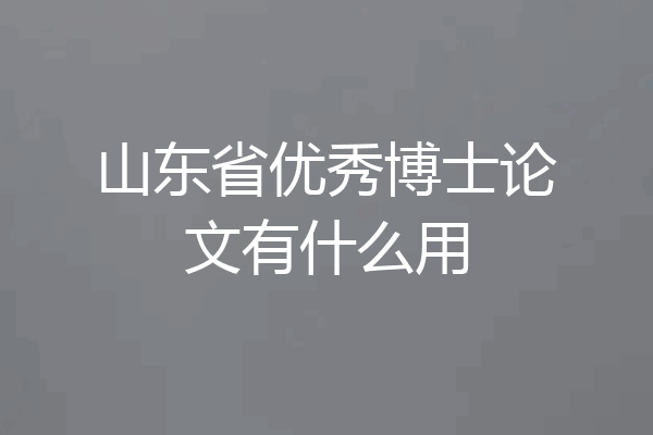 山东省优秀博士论文有什么用