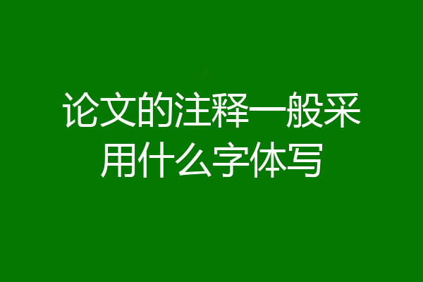 论文的注释一般采用什么字体写