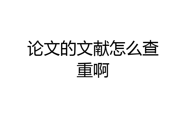 论文的文献怎么查重啊