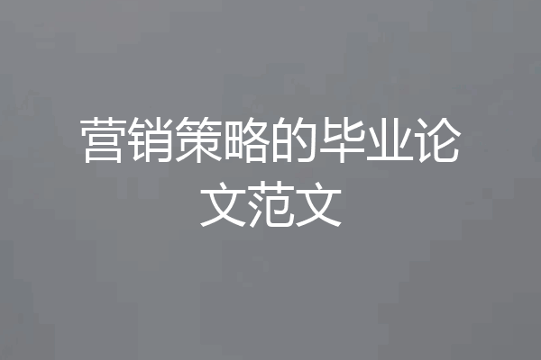 营销策略的毕业论文范文