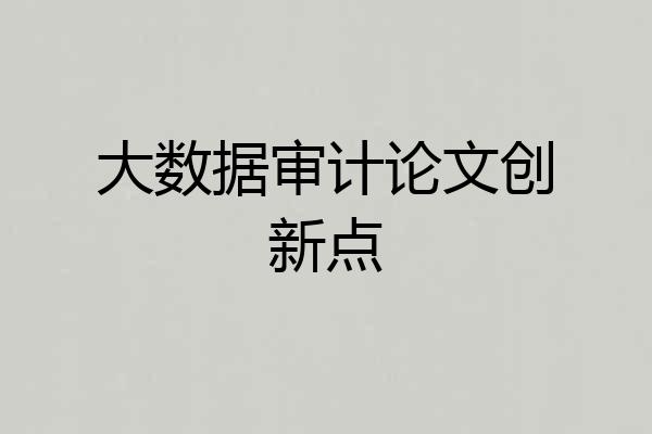 大数据审计论文创新点