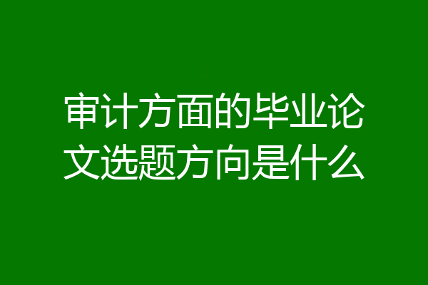 审计方面的毕业论文选题方向是什么