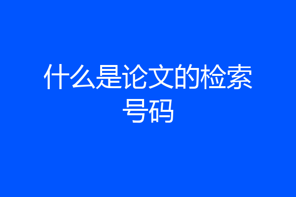 什么是论文的检索号码