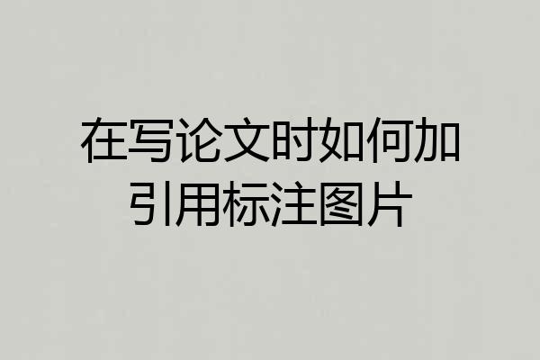 在写论文时如何加引用标注图片