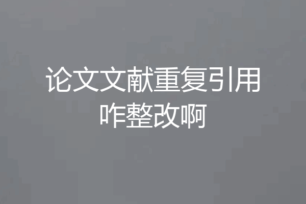 论文文献重复引用咋整改啊