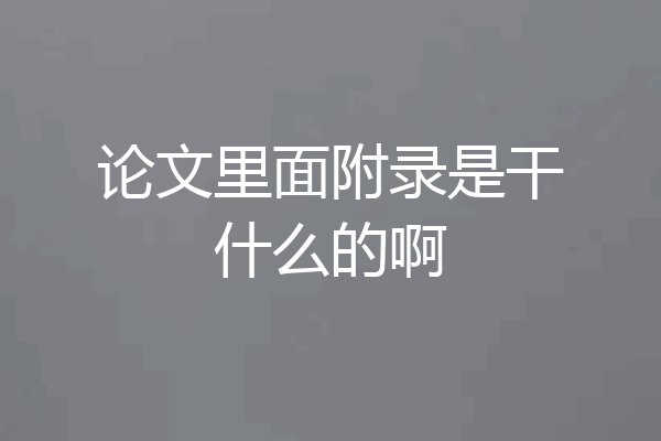论文里面附录是干什么的啊