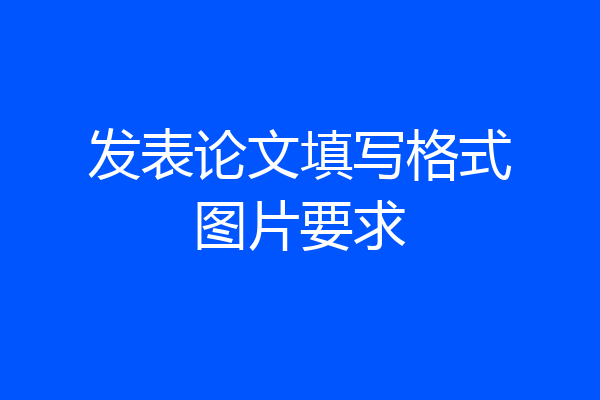 发表论文填写格式图片要求