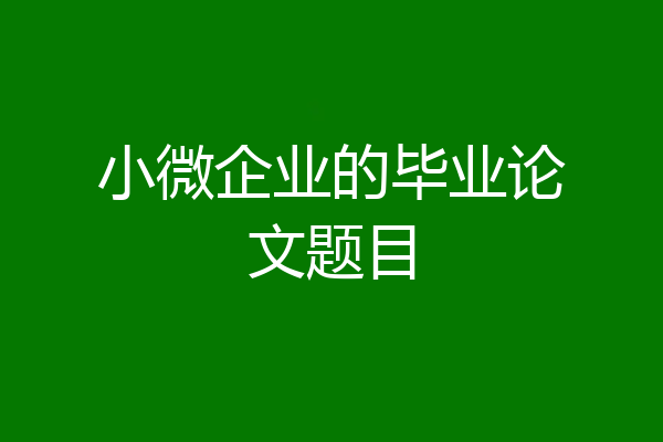 小微企业的毕业论文题目