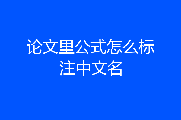 论文里公式怎么标注中文名