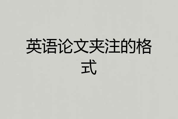 英语论文夹注的格式