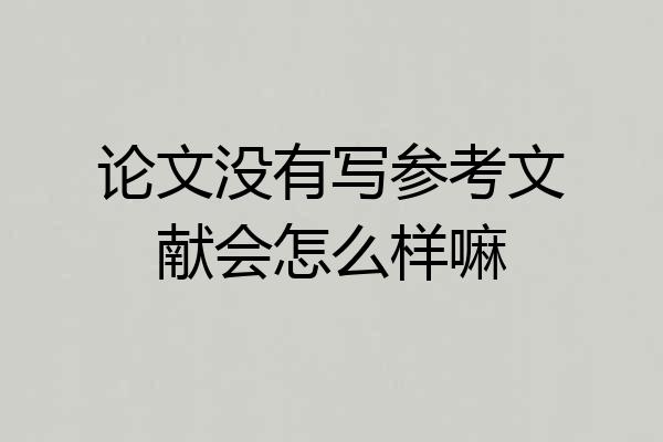 论文没有写参考文献会怎么样嘛