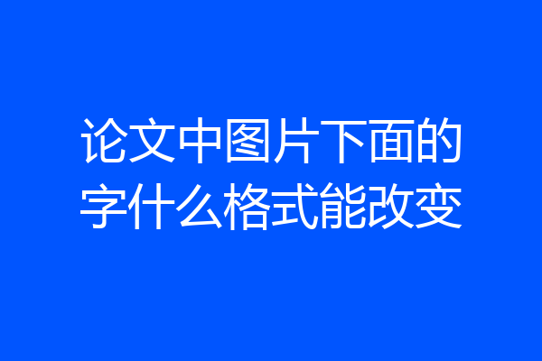 论文中图片下面的字什么格式能改变