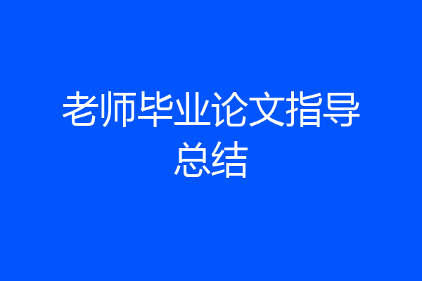 老师毕业论文指导总结