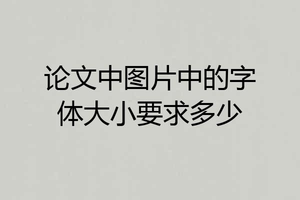 论文中图片中的字体大小要求多少