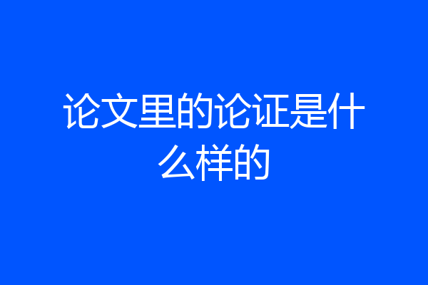论文里的论证是什么样的