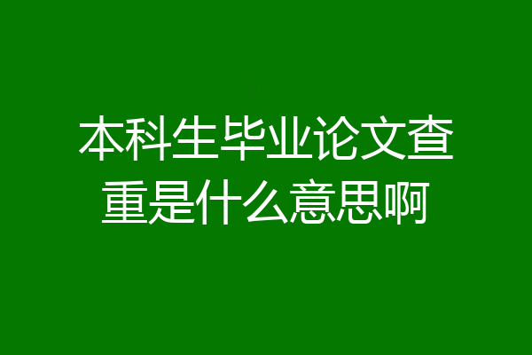 本科生毕业论文查重是什么意思啊