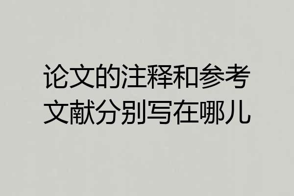 论文的注释和参考文献分别写在哪儿