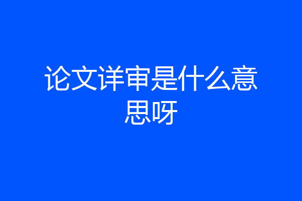 论文详审是什么意思呀