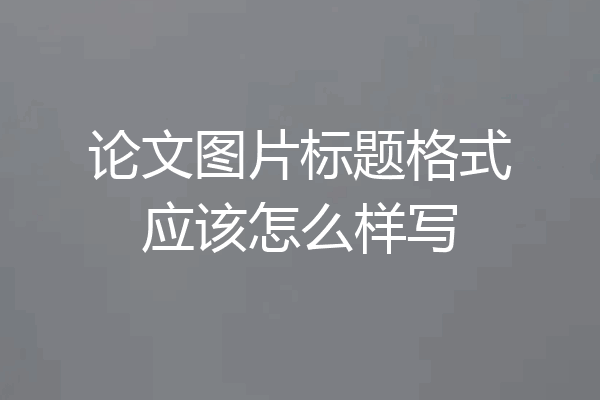 论文图片标题格式应该怎么样写