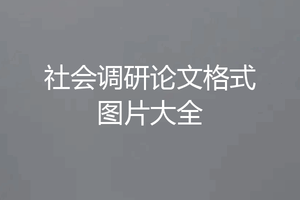 社会调研论文格式图片大全