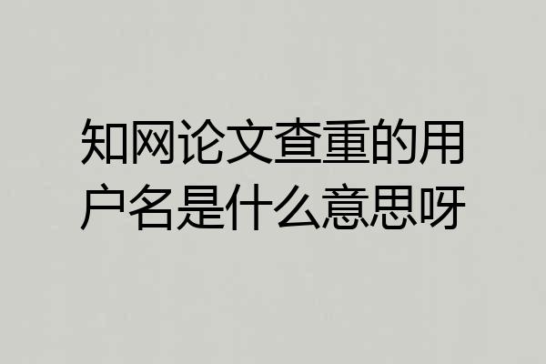 知网论文查重的用户名是什么意思呀
