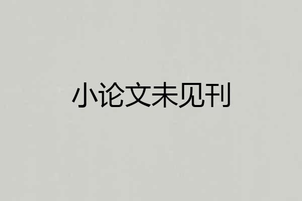 小论文未见刊