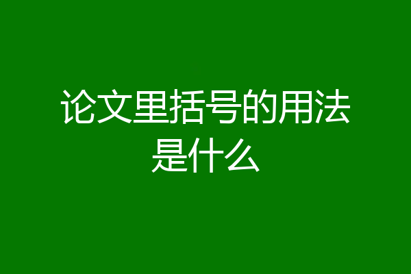 论文里括号的用法是什么